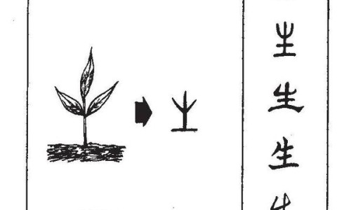 三文鱼刺身吃法图解-三文鱼刺身吃法网 | 三文鱼刺身怎么做好吃,三文鱼刺身视频教程