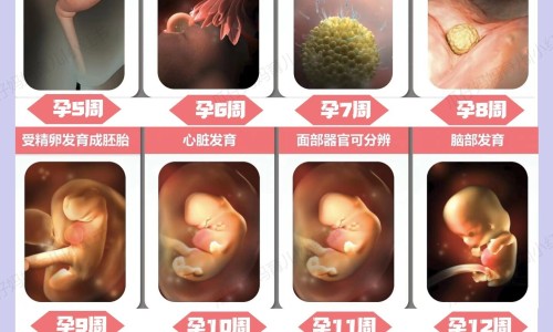 三文鱼刺身吃法图解-三文鱼刺身吃法网 | 三文鱼刺身怎么做好吃,三文鱼刺身视频教程
