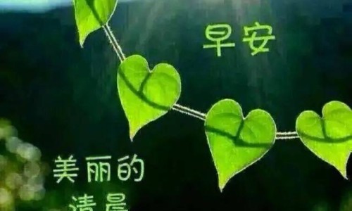 三文鱼刺身吃法网 | 三文鱼刺身怎么做好吃,三文鱼刺身视频教程